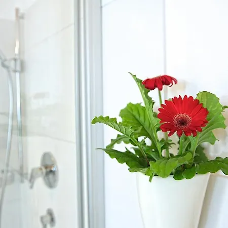 Greenhome Apartman *